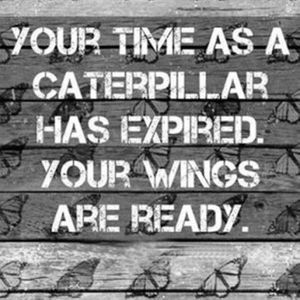 Meet your Posher, Jane